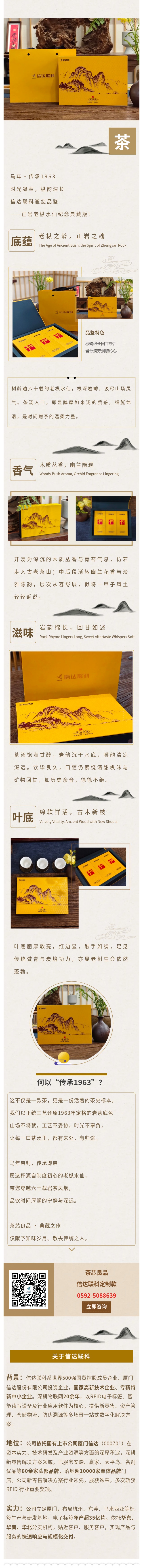 全屏展示图片